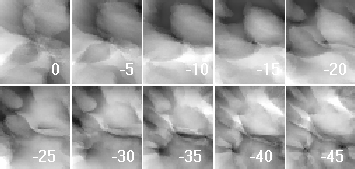 30-chl ECoG Class Analysis