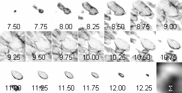 30-chl ECoG Class Analysis